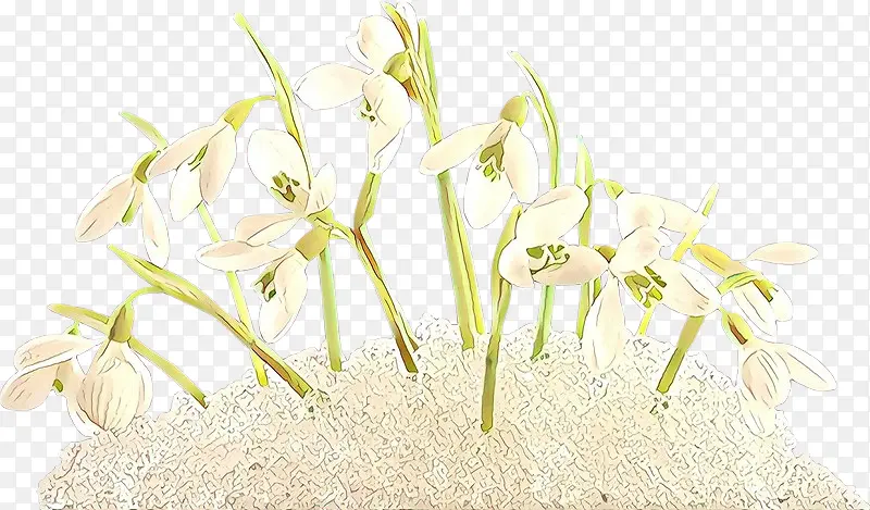 ��ͨ ����ֲ�� ��-������