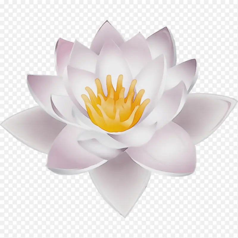 ˮ�� ���� ʪī-������