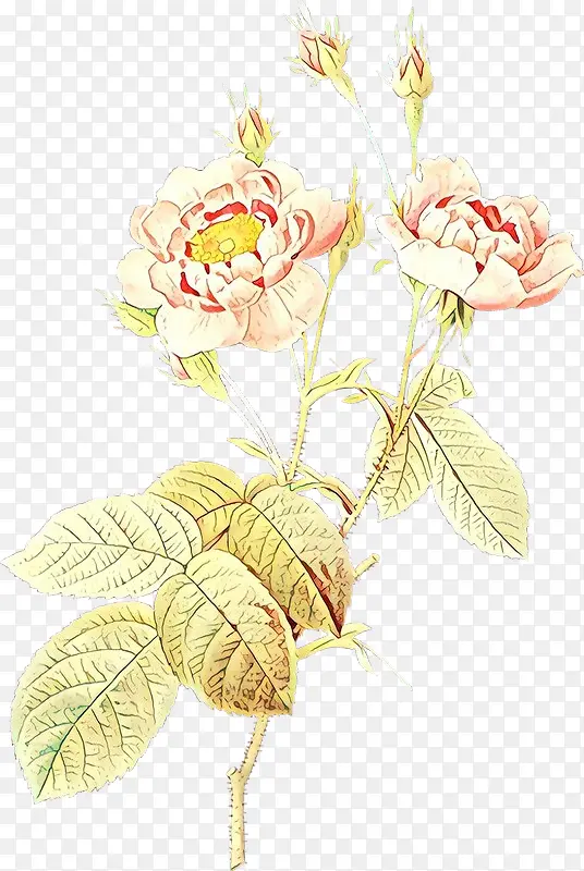 ��ͨ �� ����ֲ��-������