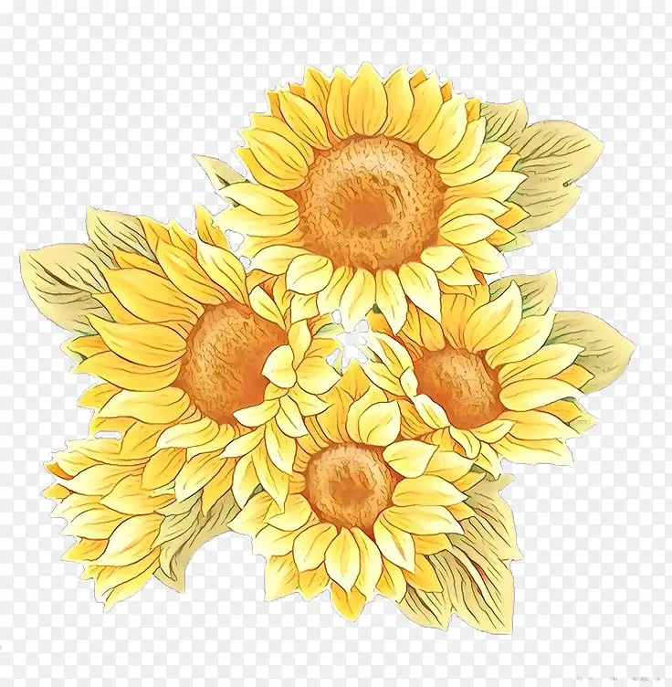 ��ͨ ���� ��ɫ-������