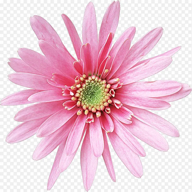 ���� ����ֲ�� �Ͳ��ٳ���-������