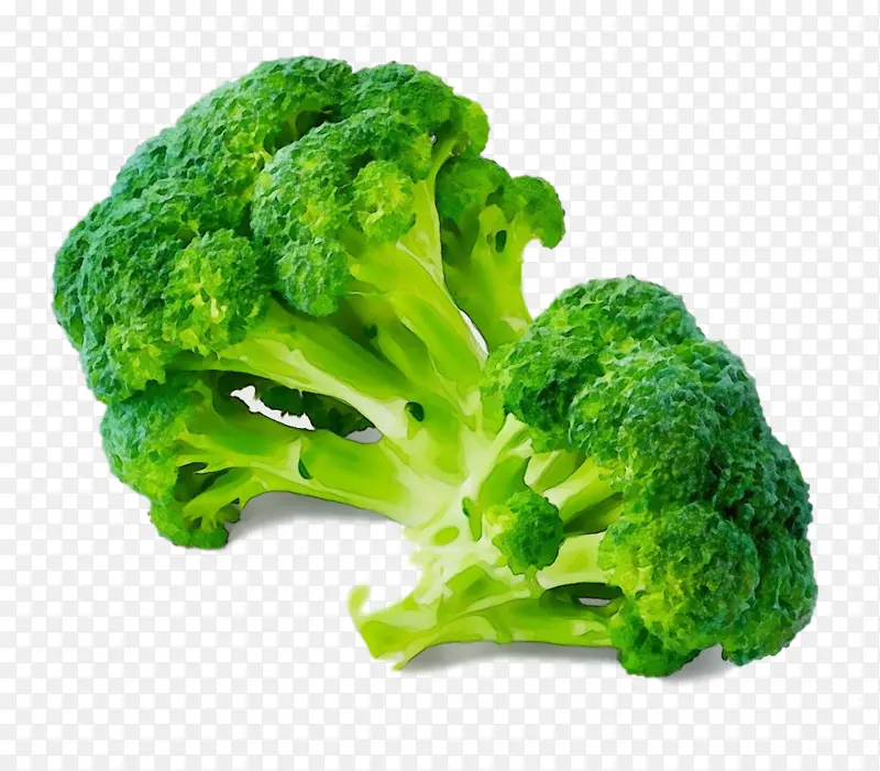 ˮ�� ���� ʪīˮ-������