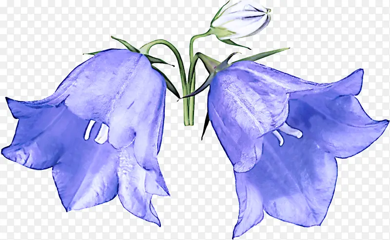 ������ �� ���ز�����-������