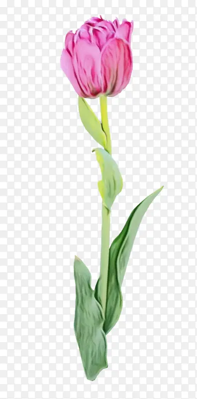 ˮ�ʻ� ���� ʪī-������