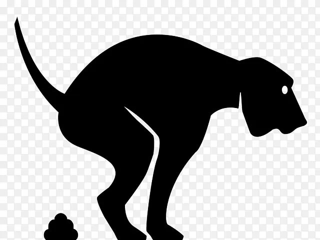 β�� ���� ��Ӱ-������