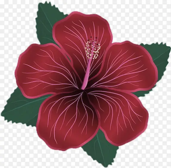 �� ����ֲ�� ܽ��-������