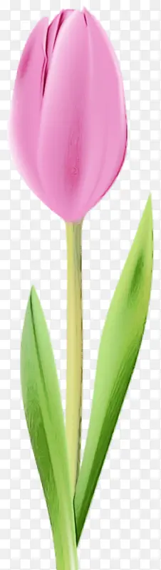 ˮ�� ���� ʪī-������