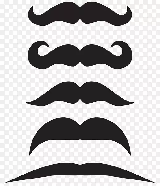 �����ֽ������.����-������