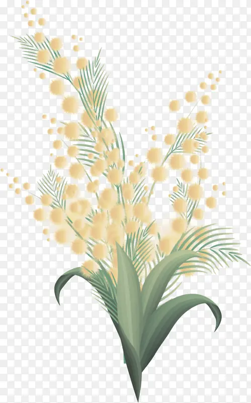 ֲ�� �� ����ֲ��-������