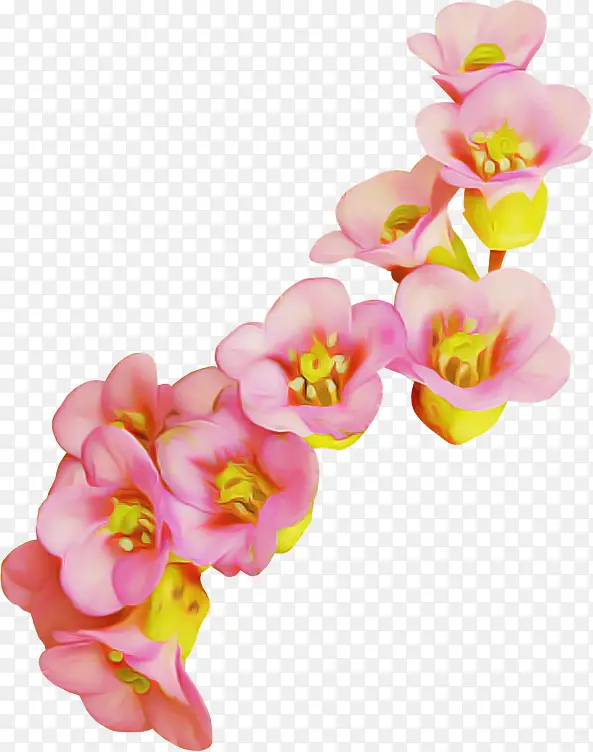 ��ɫ ���� ����-������