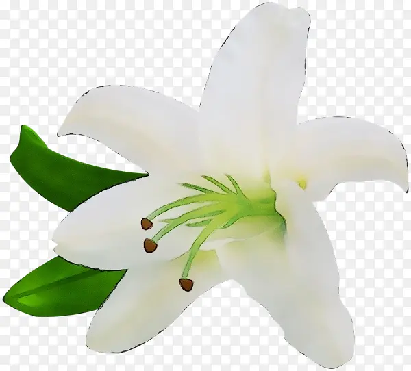 ˮ�� ���� ʪī-������