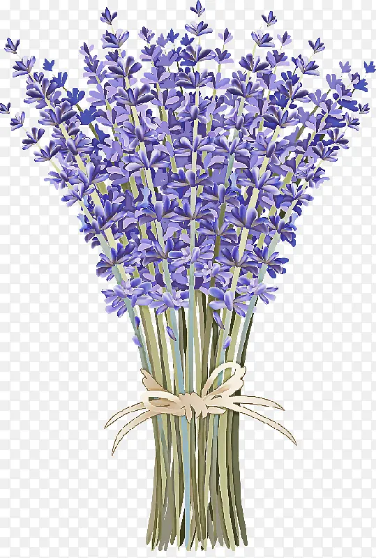 �ɹ���Ʒ�� ޹�²� ֲ��-������