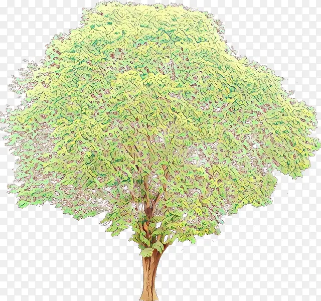 ��ͨ �� ֲ��-������