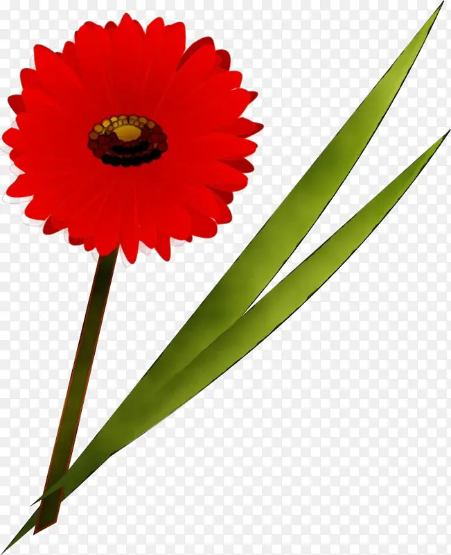 ˮ�� ���� ʪī-������