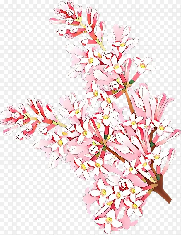 ��ͨ ��ɫ ����-������