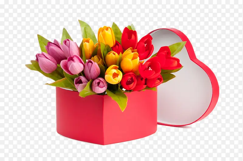 �ɹ���Ʒ�� ���� ������-������