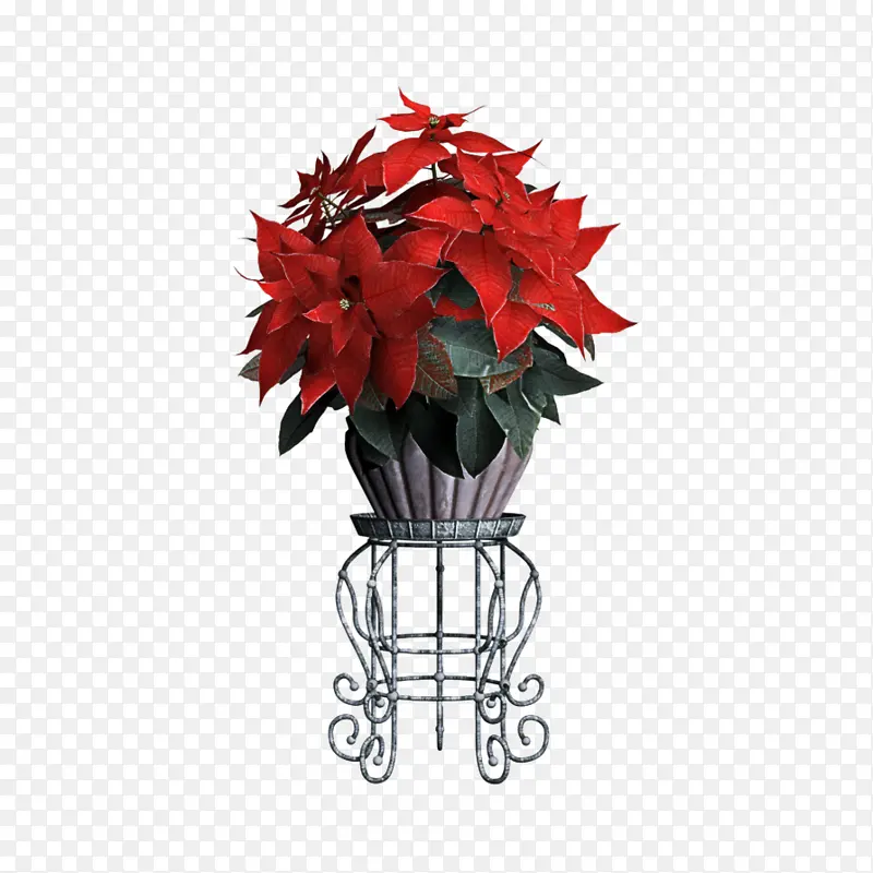 ��ɫ һƷ�� Ҷ-������