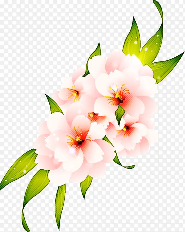 ���� ����ֲ�� ����-������