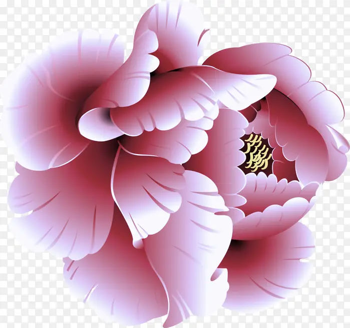 ��ɫ ���� ��-������