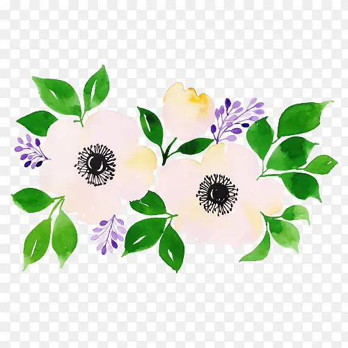 �� ֲ�� Ҷ-������