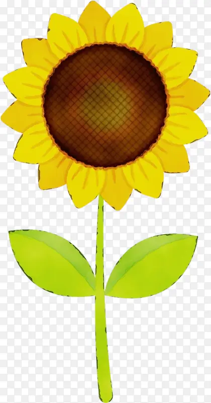 ˮ�ʻ� ���� ʪī-������