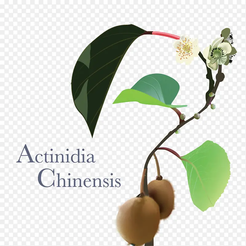 ֲ�� �� ��-������