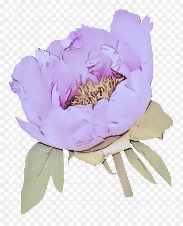 ���� �� ��ͨĵ��-������