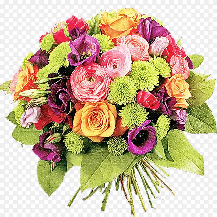 �ɹ���Ʒ�� ���� ����ֲ��-������