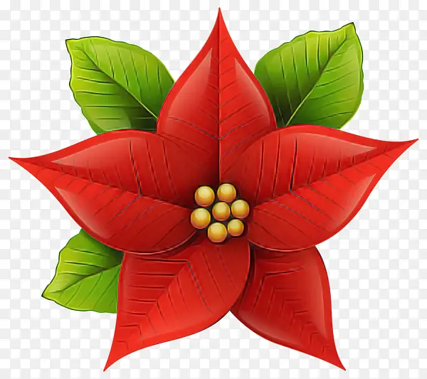 �� Ҷ ����-������