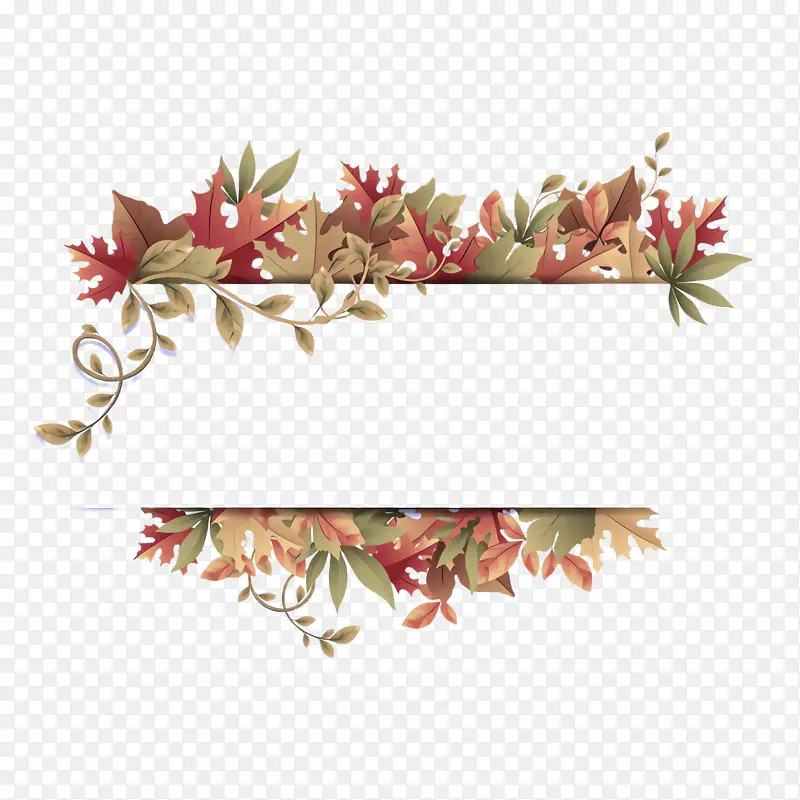 Ҷ�� ֲ�� ��-������