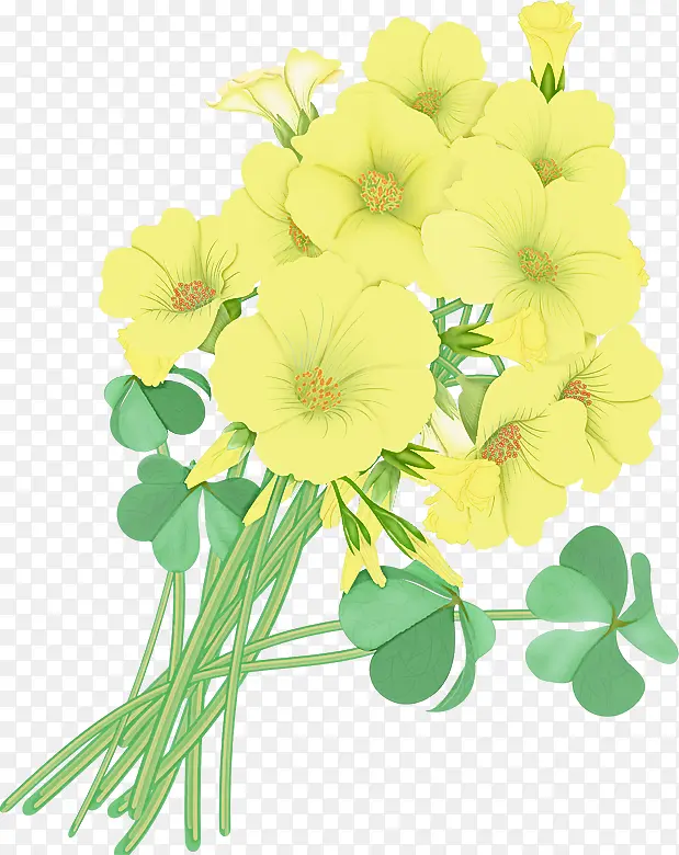 �� ����ֲ�� ֲ��-������