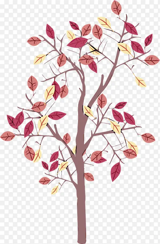 �� ֲ�� ��֦-������