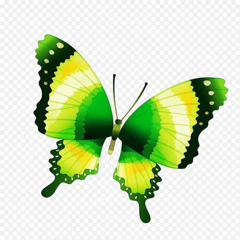 �ɶ�ͺ��� ���� ����-������