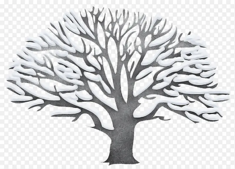 ��ľ ��֦ Ҷ��-������