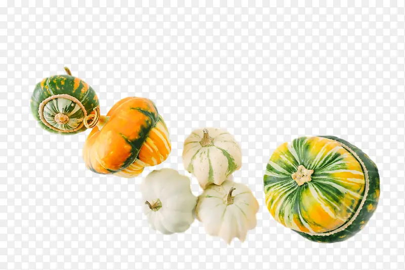 ʳ�� �߲� ֲ��-������