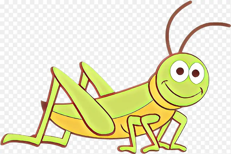 ��ͨ ���� ����-������