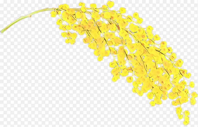 ��ͨ ��ɫ-������