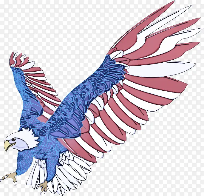 �� ӥ ���-������