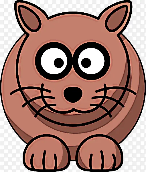 ��ͨ ���� ����-������