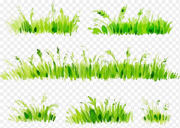 ˮ�� ���� ʪī-������