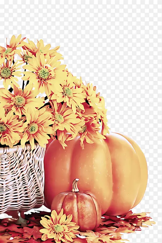 ������Ӱ ���� ֲ��-������