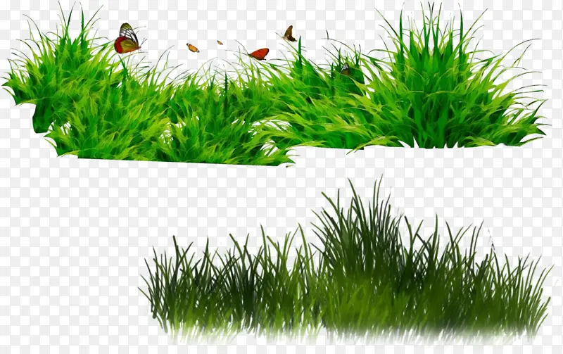 ˮ�ʻ� ���� ʪī-������