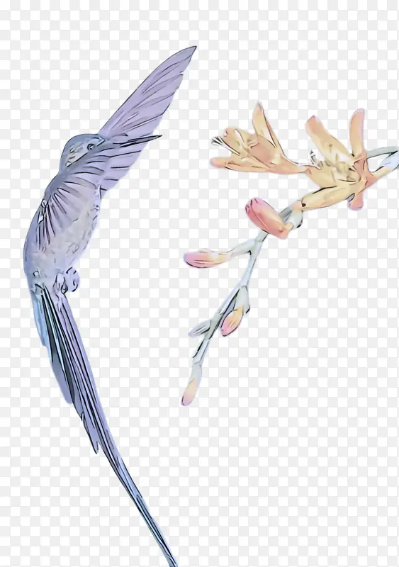 ��� ��ë-������