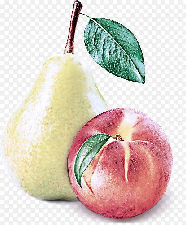 �� ˮ�� ʳƷ-������