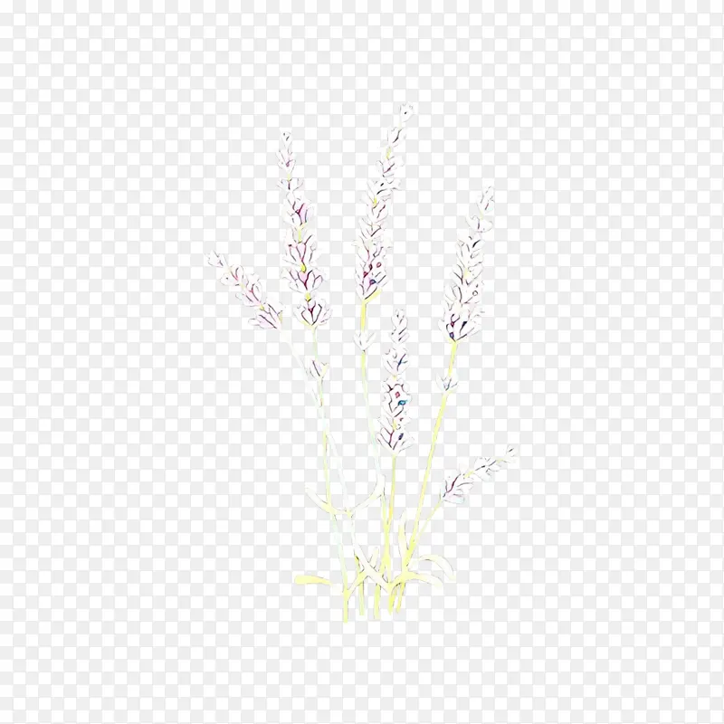 ��ͨ ��ɫ ��֦-������