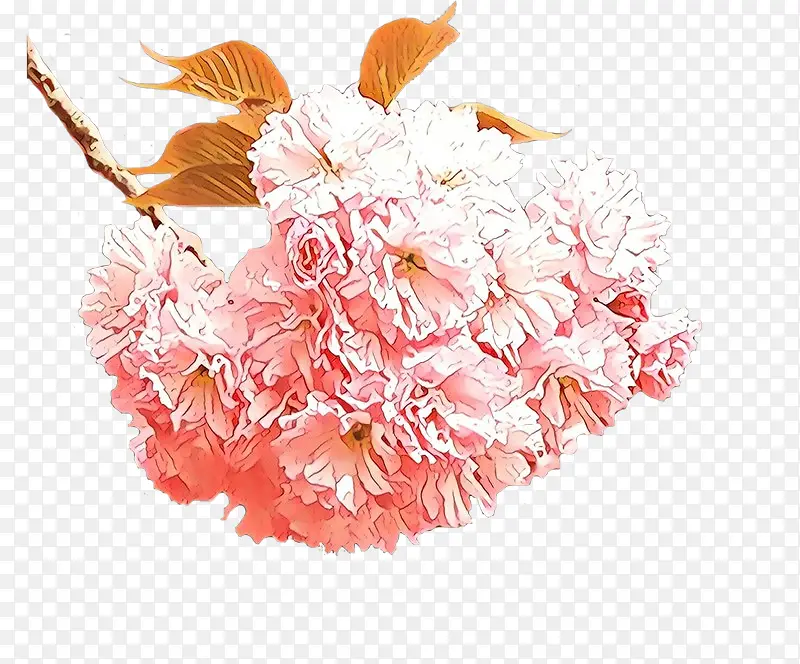 ��ͨ ��ɫ �л�-������