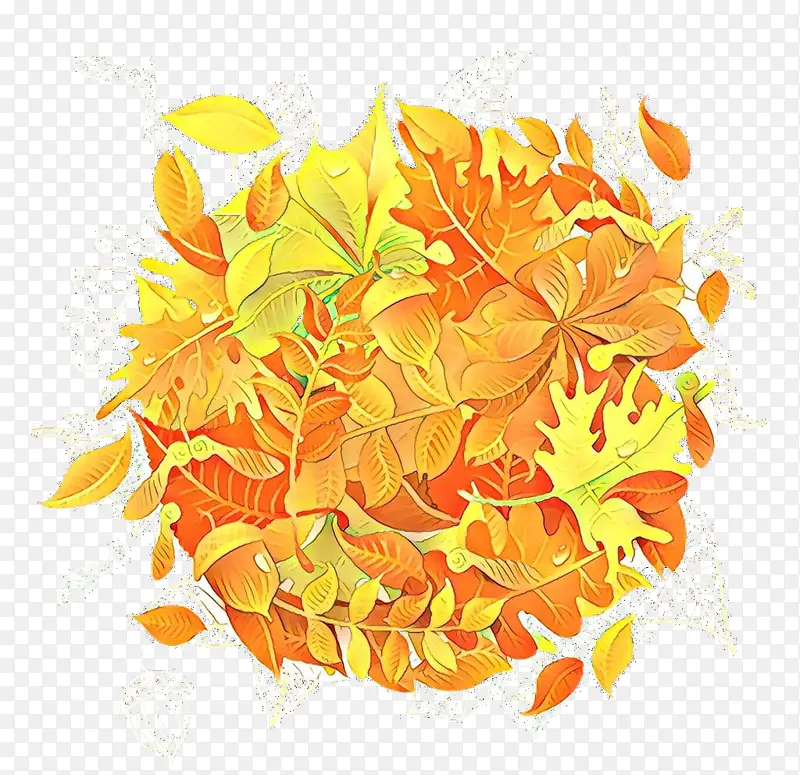 ��ͨ ��ɫ ��ɫ-������