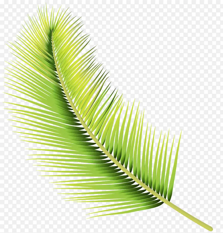 ˮ�ʻ� ���� ʪī-������