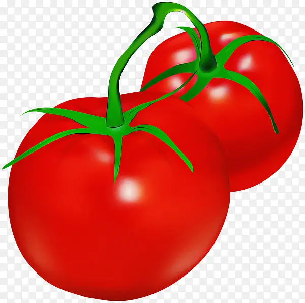 ��ȻʳƷ ���� ��-������