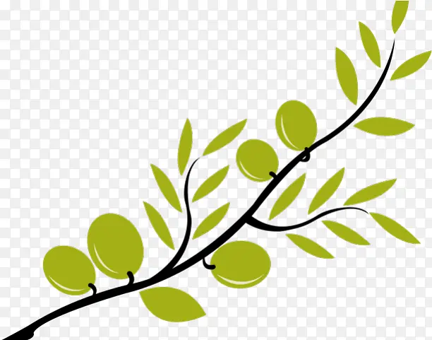 Ҷ�� ��֦ ֲ��-������